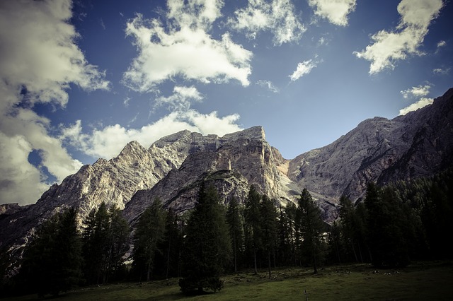 Image by Markus Spiske from Pixabay