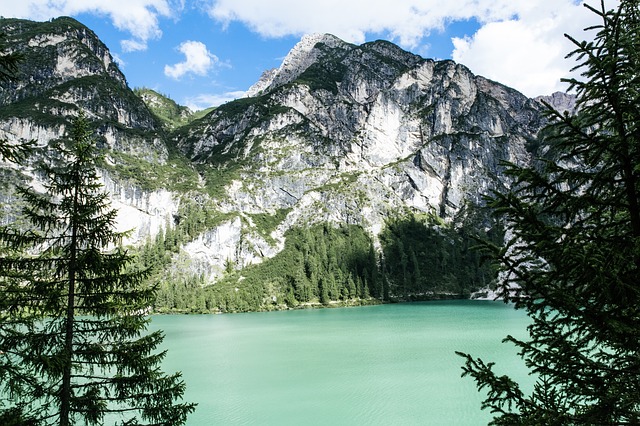 Image by Markus Spiske from Pixabay