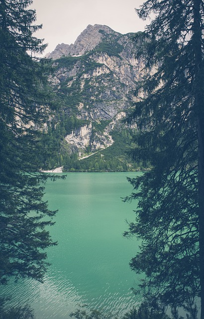 Image by Markus Spiske from Pixabay