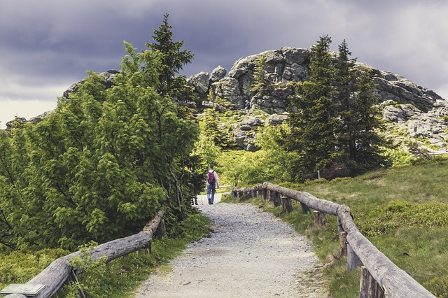 Image by Markus Spiske from Pixabay