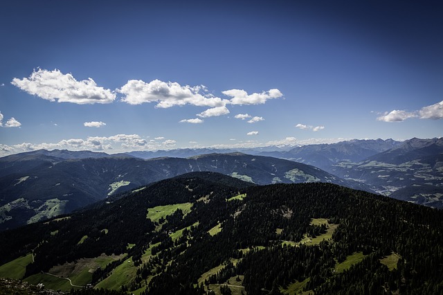 Image by Markus Spiske from Pixabay