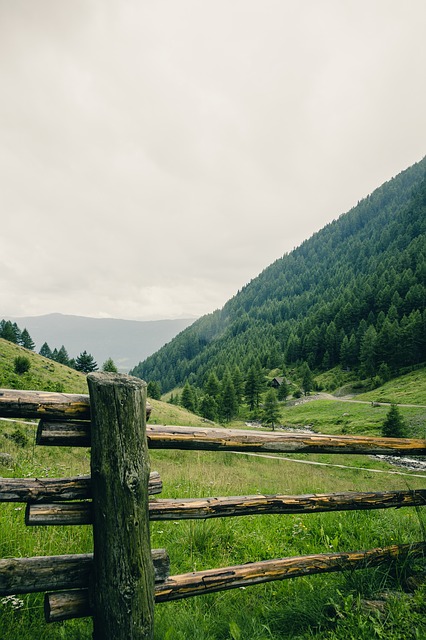 Image by Markus Spiske from Pixabay