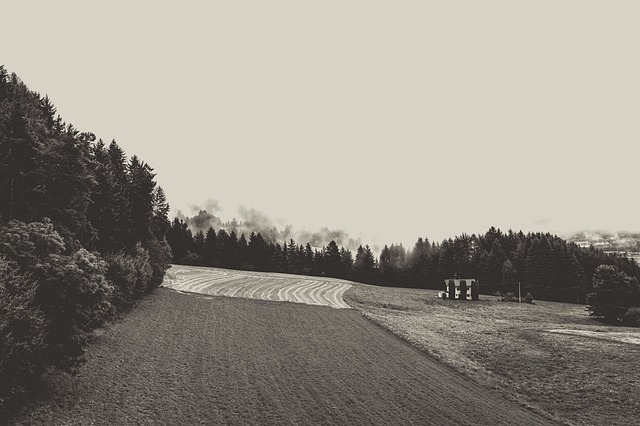 Image by Markus Spiske from Pixabay