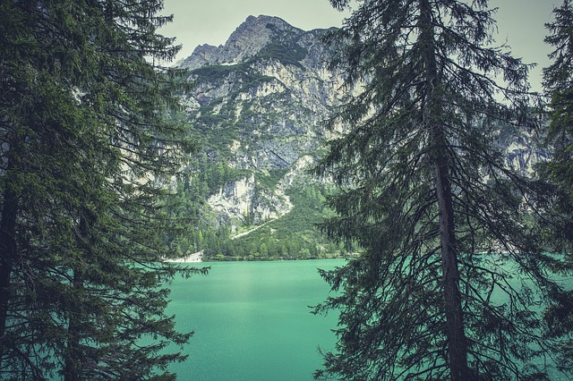 Image by Markus Spiske from Pixabay
