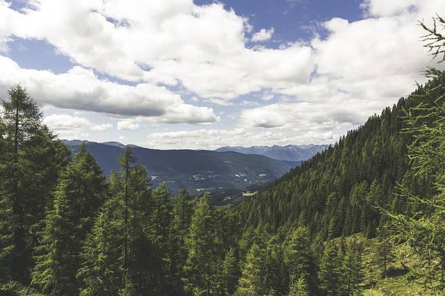 Image by Markus Spiske from Pixabay