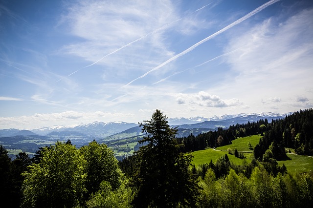 Image by Markus Spiske from Pixabay
