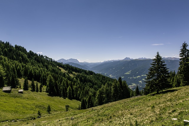 Image by Markus Spiske from Pixabay