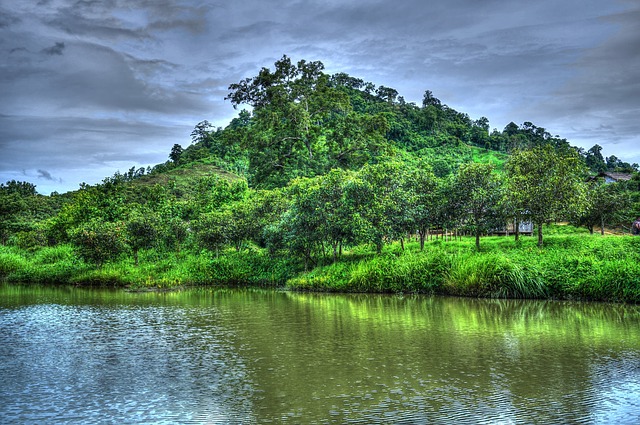Image by Arnab Sharma from Pixabay