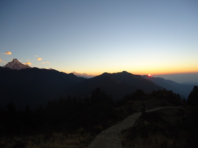 Image by aarjus chhetri from Pixabay
