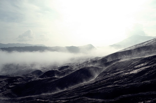 Image by Satriohaji Istyawan from Pixabay