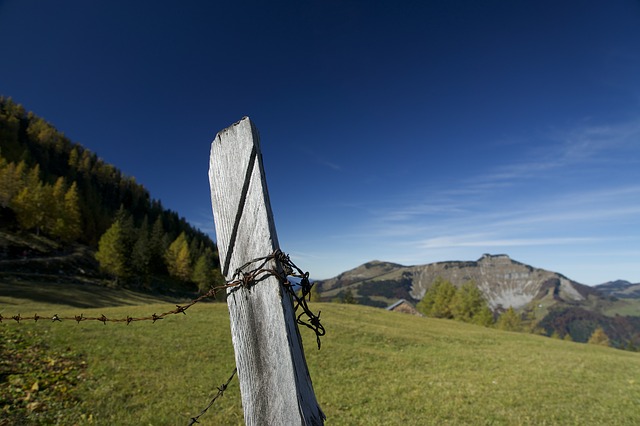 Image by Daniel Schneider from Pixabay