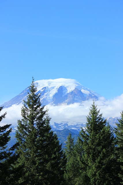 Image by pearlitap from Pixabay