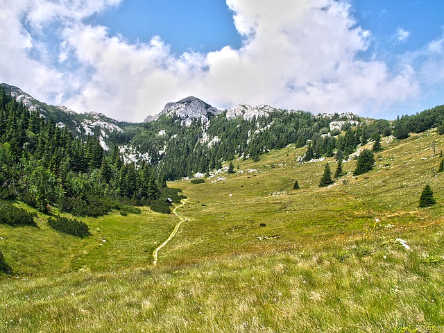 Image by Zdravko Rajko from Pixabay