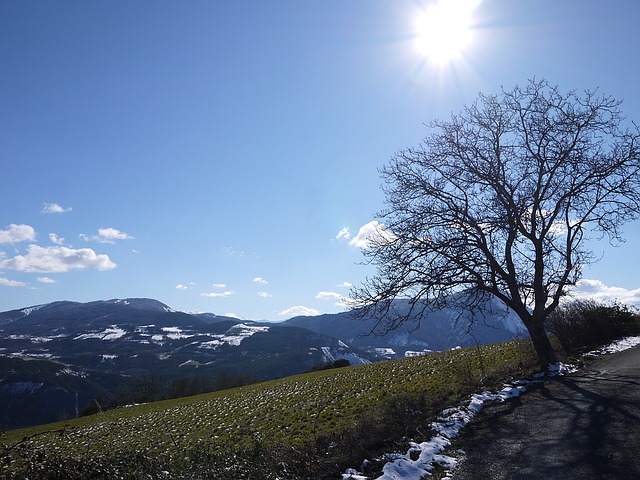 Image by Daniel C from Pixabay