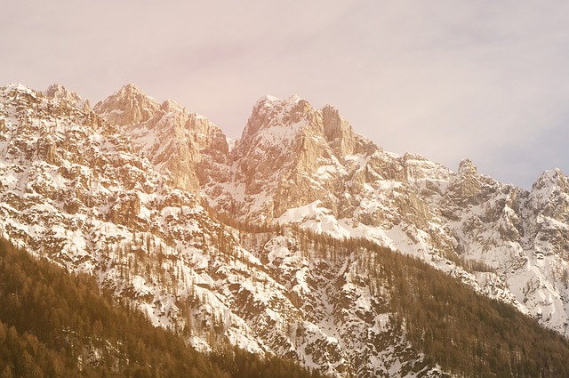 Image by Andrian Valeanu from Pixabay