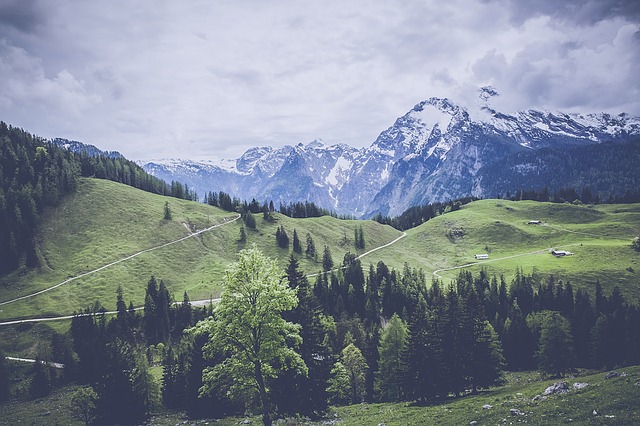 Image by Markus Spiske from Pixabay
