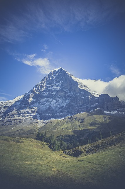 Image by Markus Spiske from Pixabay