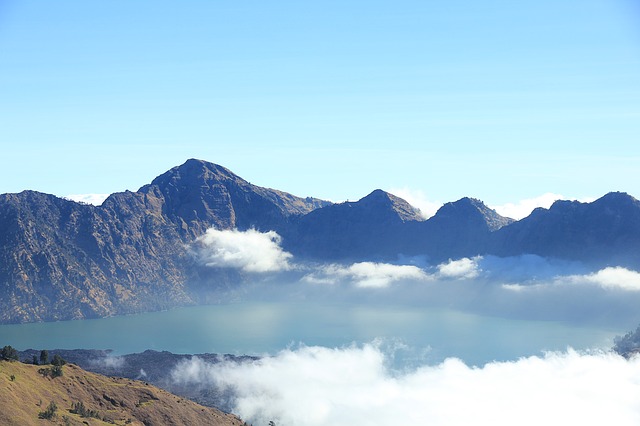 Image by Wisnu WIDIARTA from Pixabay
