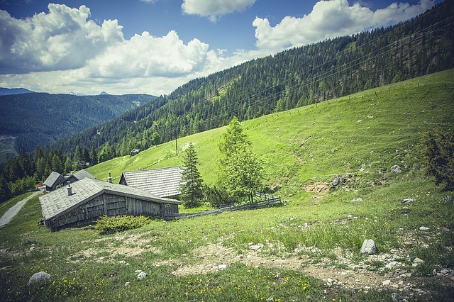 Image by Markus Spiske from Pixabay