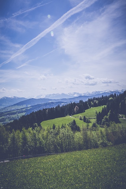 Image by Markus Spiske from Pixabay