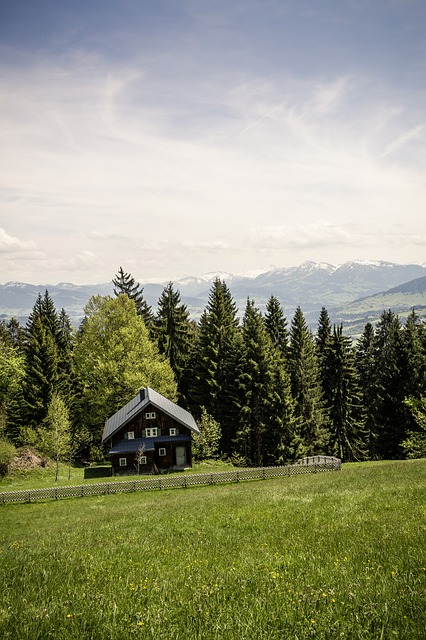 Image by Markus Spiske from Pixabay