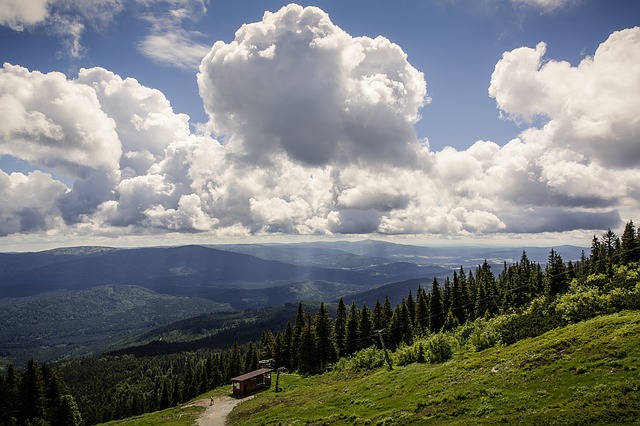 Image by Markus Spiske from Pixabay