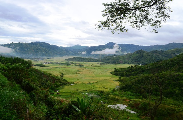 Image by Taufik Abdullah from Pixabay