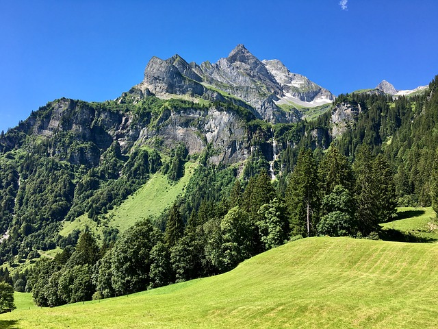 Image by Dominik Moser from Pixabay