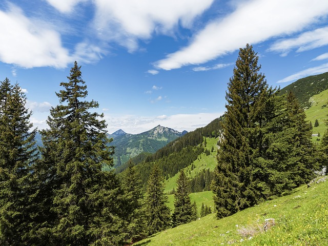 Image by Marc Benedetti from Pixabay