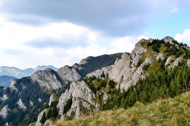 Image by Tudor George from Pixabay