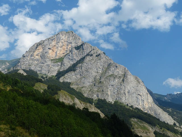 Image by Hans Braxmeier from Pixabay