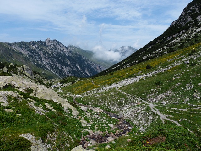 Image by Hans Braxmeier from Pixabay