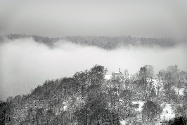 Image by Pascal Laurent from Pixabay