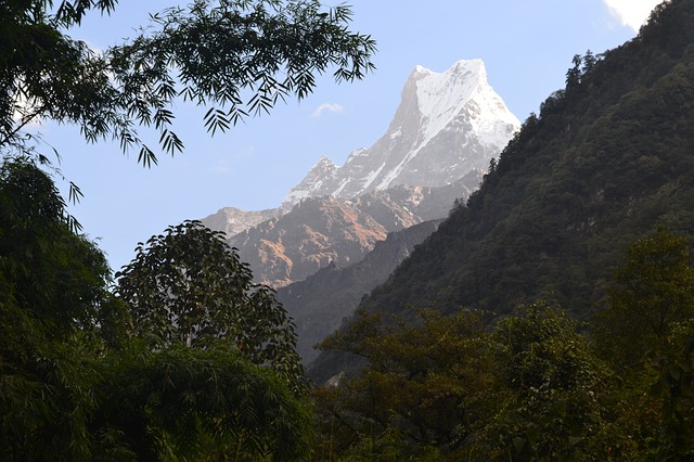 Image by sagar shrestha from Pixabay