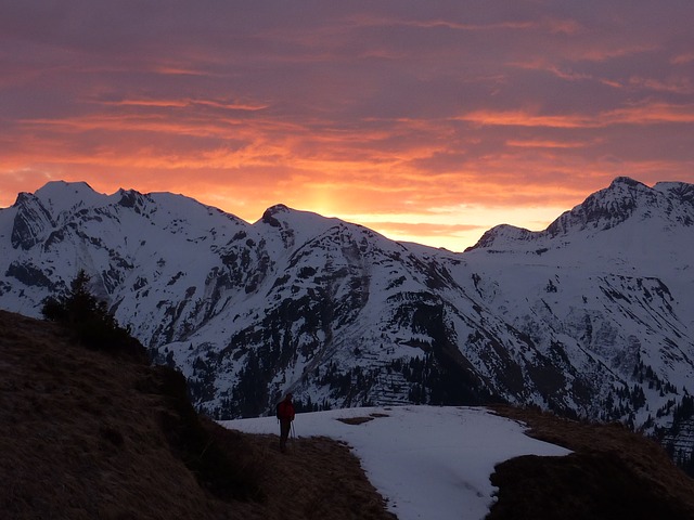 Image by Martin Str from Pixabay