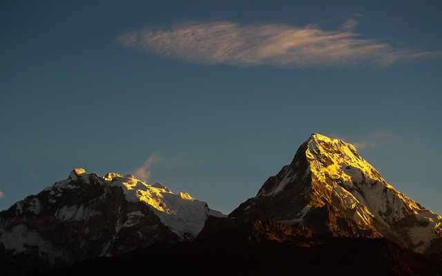Image by Ambir Tolang from Pixabay