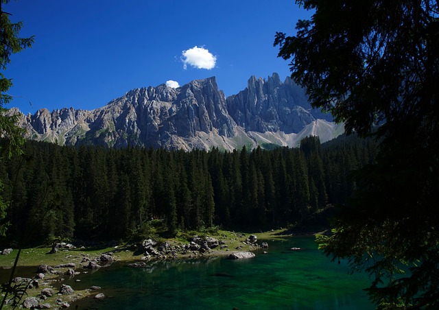 Image by joseph_Berardi from Pixabay