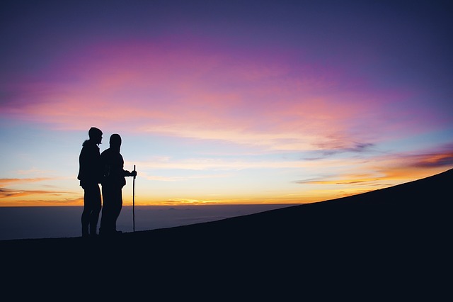 Image by StockSnap from Pixabay