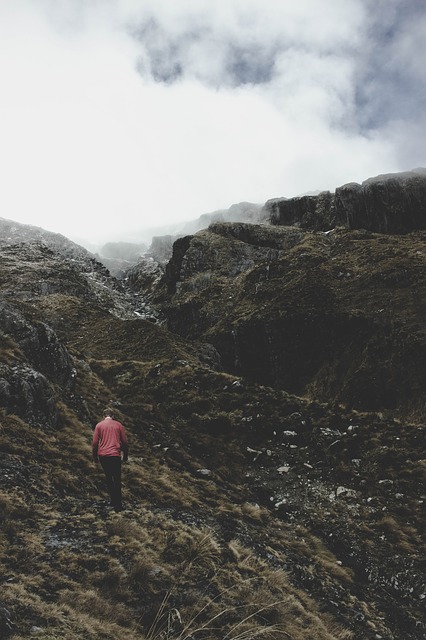 Image by StockSnap from Pixabay