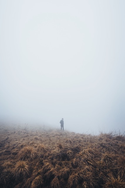 Image by StockSnap from Pixabay