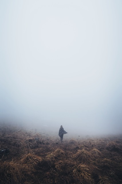 Image by StockSnap from Pixabay