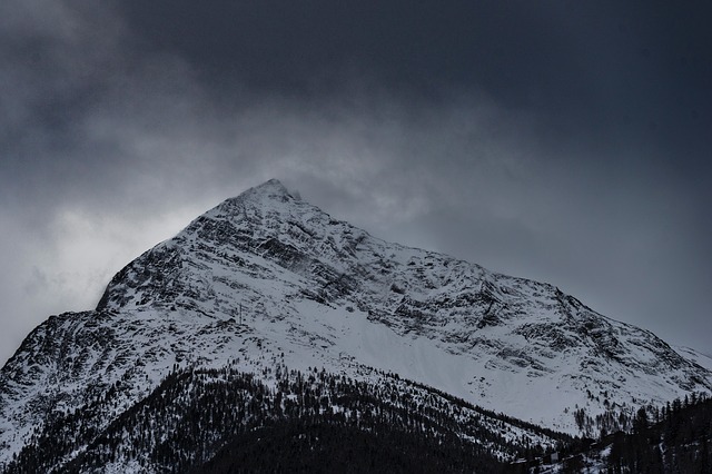Image by StockSnap from Pixabay