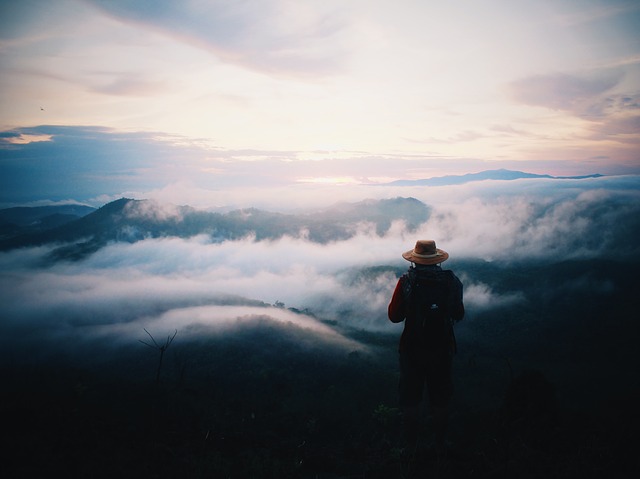 Image by akbaranifsolo from Pixabay
