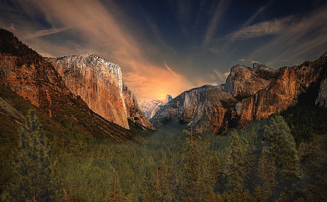 Image by StockSnap from Pixabay