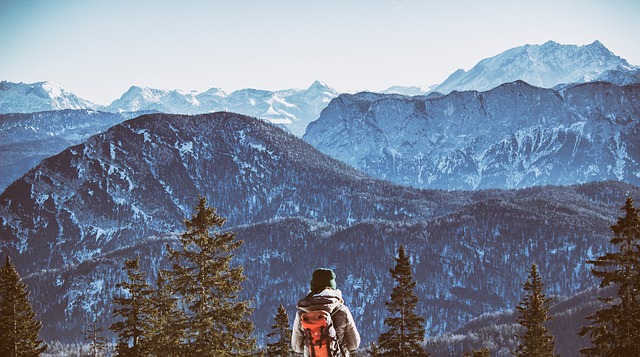 Image by StockSnap from Pixabay