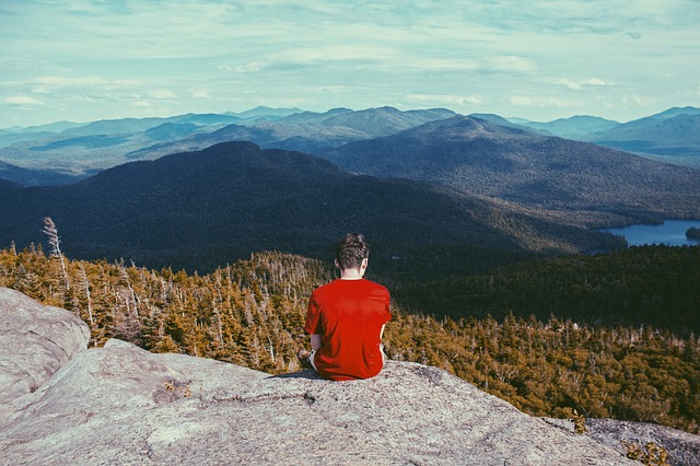 Image by StockSnap from Pixabay
