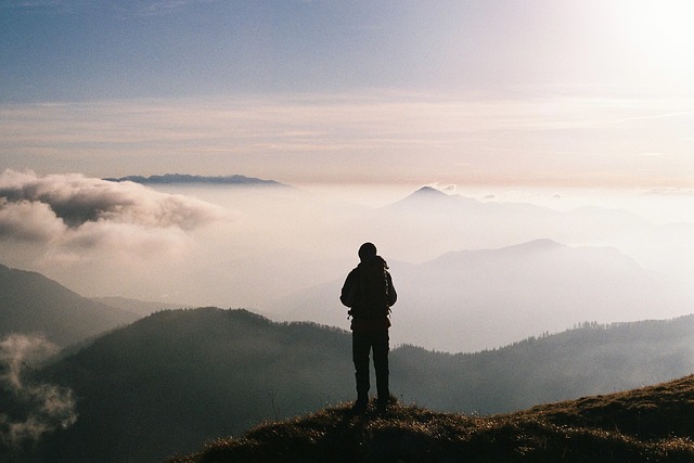 Image by StockSnap from Pixabay