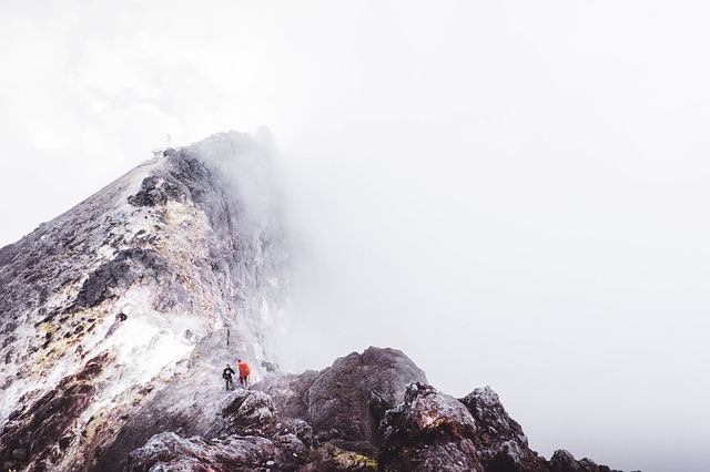 Image by StockSnap from Pixabay