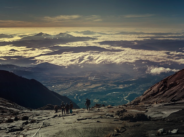 Image by StockSnap from Pixabay