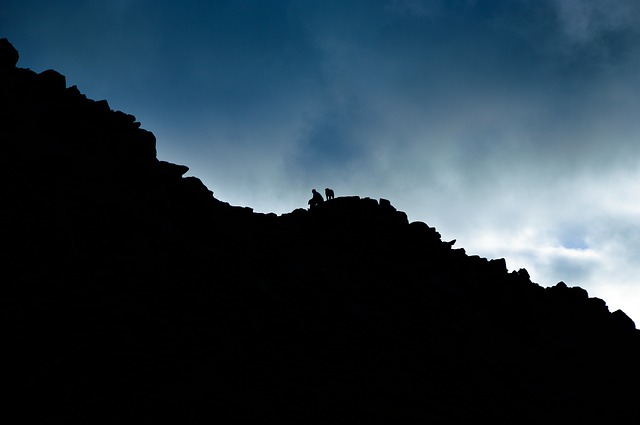 Image by StockSnap from Pixabay